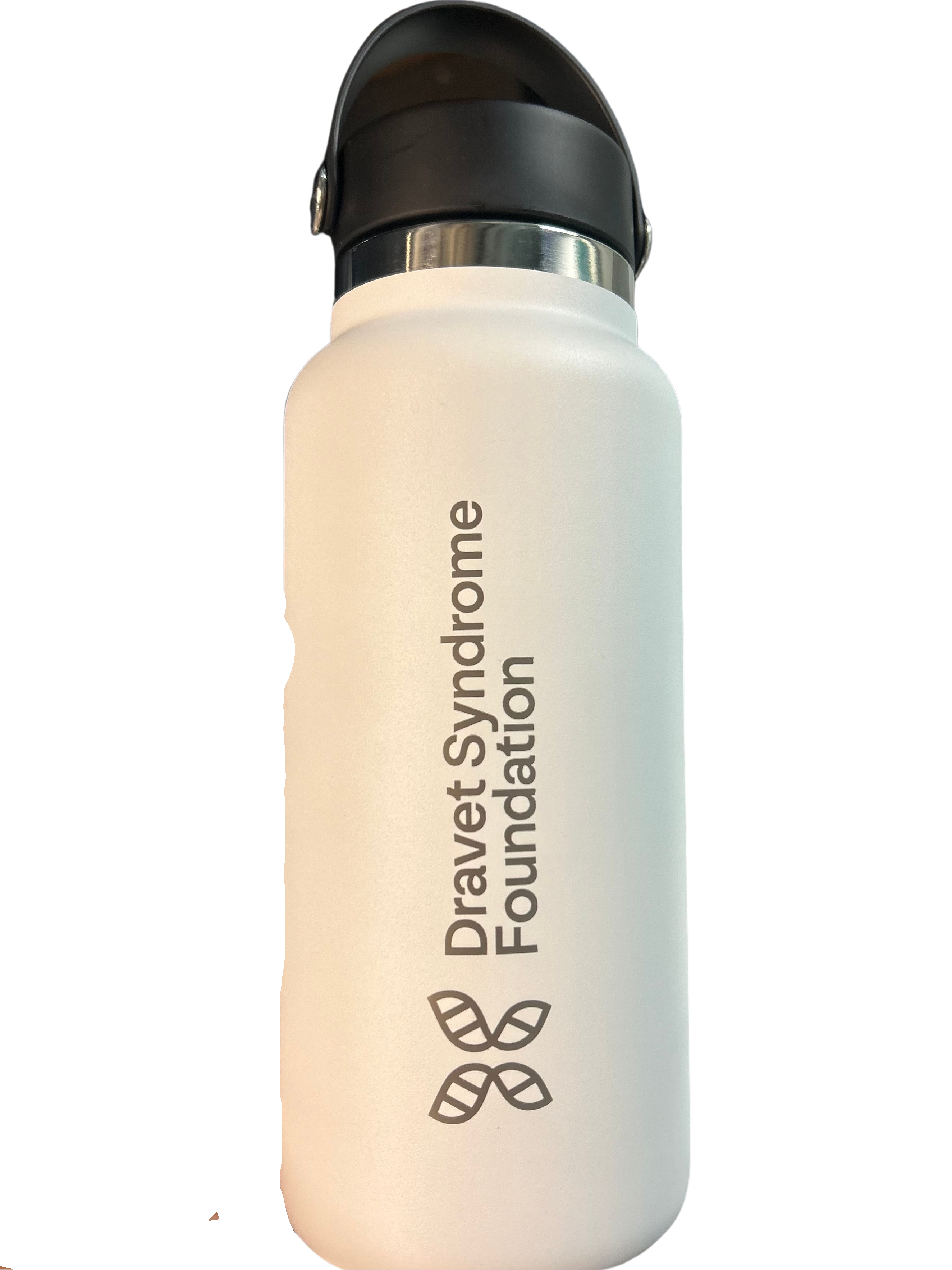 Untitled design - 2024-08-20T155128.679.png